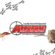 Accurate Termite And Pest Solutions