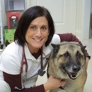 Acosta  Veterinary Hospital - Kennels