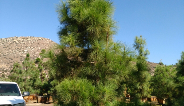 Carrillo's tree services - Chula Vista, CA