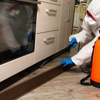 Midwest Bed Bug Services gallery
