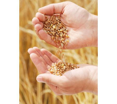 Croker M C Pty Ltd - Marrar, NSW