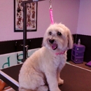 Bubbly Bow Wow Dog Grooming - Pet Services