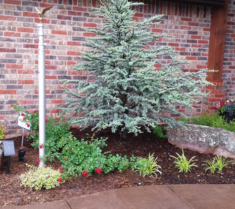 Special T Landscaping - Oklahoma City, OK