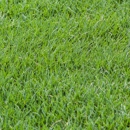 The Grass Company - Mulches