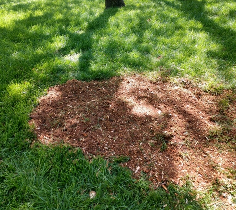 Slawson's Tree Service, Owner George Slawson