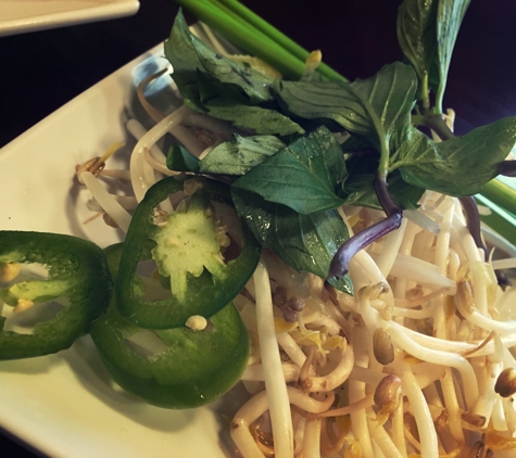 Green Garden Pho