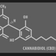 Vibestasis Labs