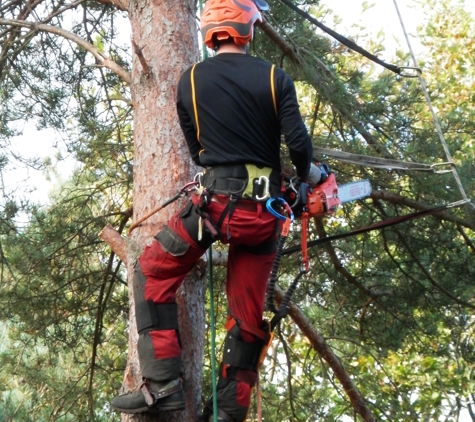 Sager Professional Tree Management - Middleton, ID