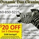 Dynamic Duo Cleaning