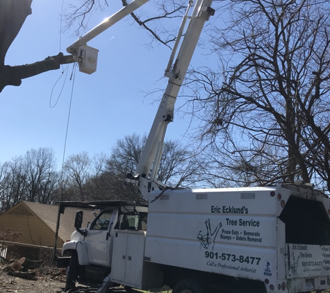 Eric Ecklund's Tree Service