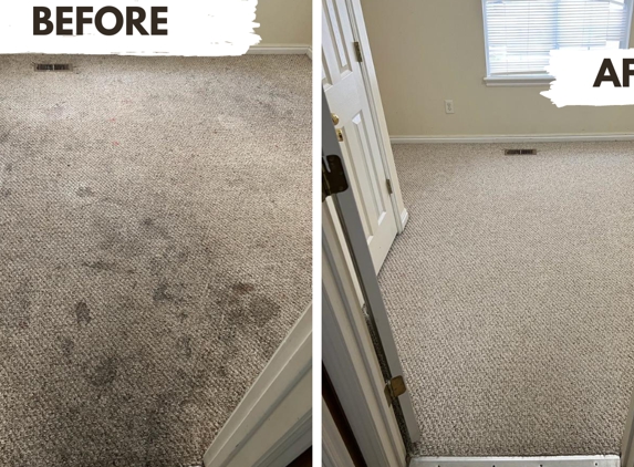 Vital Clean Carpet Cleaning - Riverton, UT