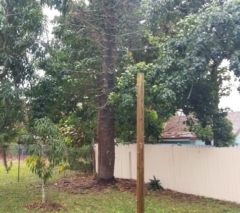 Big Ron's Tree Service LLC - Miami, FL