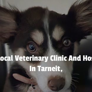 Central Veterinary Clinic & Hospital - Tarneit, VIC. Your Local Veterinary Clinic And Hospital, In Tarneit