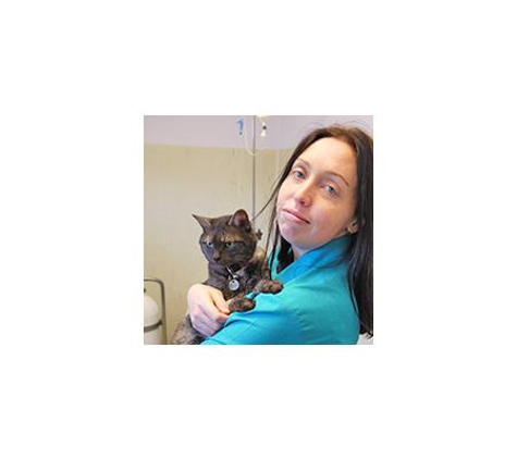 Earlwood Animal Hospital - Earlwood, NSW