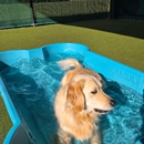 Bayside Pet Resort - Pet Boarding & Kennels