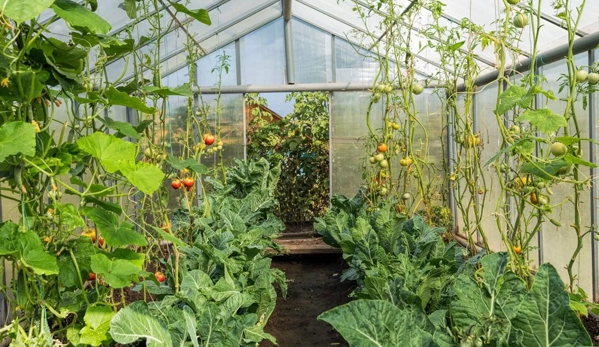 T&W Greenhouse Supplies PTY LTD - Kemps Creek, NSW
