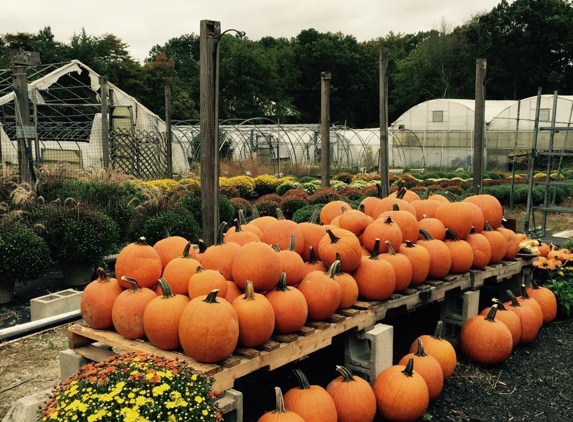 Grawtown Greenhouse LLC - Jackson, NJ