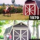 Colonial Barns & Sheds