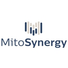 MitoSynergy