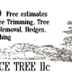 Service Tree LLC