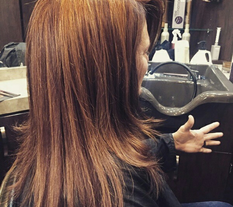 Hair Color By Deanna - Denver, CO. #brizillianblowdry