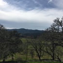 Reverie Vineyard & Winery - Fruit & Vegetable Growers & Shippers