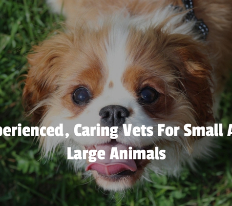 Central Veterinary Clinic & Hospital - Tarneit, VIC. Experienced, Caring Vets For Small And Large Animals