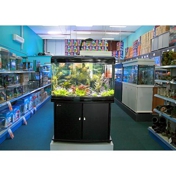 Gallery Image Number 3