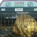 Ace's Wildlife Removal - Home Improvements