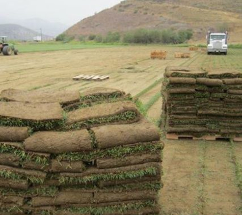 Valley Sod Farm - North Hills, CA