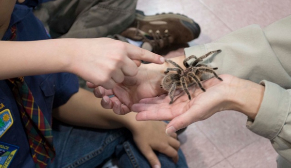 E and J Reptile & Animal Shows