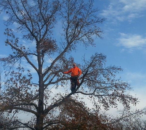 Adam's Tree Service - Alvarado, TX