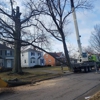 Hometown Tree Service gallery