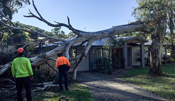 Walton's Tree Care Services