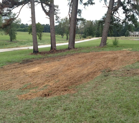 Jimmy's stump grinding service - Texarkana, TX