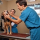 Millcreek Veterinary Clinic