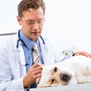 Allen Creek Veterinary Hospital - Veterinarians