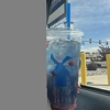 Dutch Bros Coffee gallery