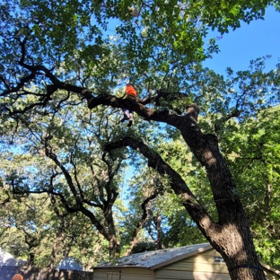 Price Right Professional Landscaping and Tree Service - Arlington, TX. Top Tree Climbers