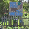 Blue Ridge Vineyard gallery