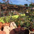 Westbrae Nursery - Nurseries-Plants & Trees