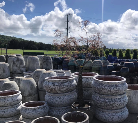 Rosemount Nursery - Rosemount, QLD