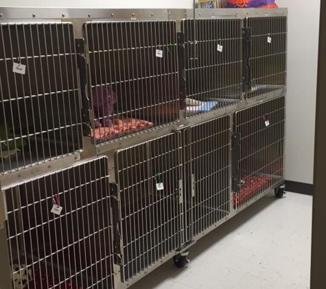 Brevard Spay/Neuter Clinic - Palm Bay, FL