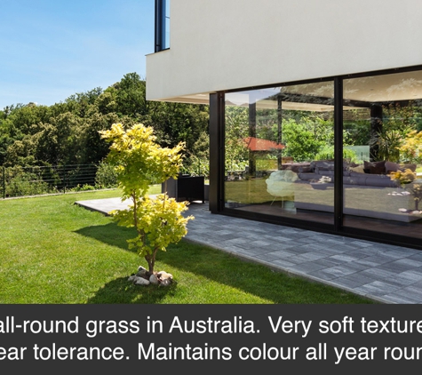 Sammut Turf Supplies - Freemans Reach, NSW. Best all-round grass in Australia. Very soft texture, high wear tolerance. Maintains colour all year round.