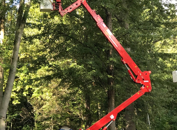 Ajax Tree Service, L.L.C. - Avon, OH