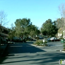 Canyon Wood Apartments - Apartments