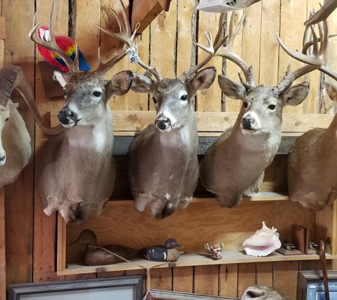 Verns Taxidermy - Algonquin, IL