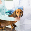 Ohana Veterinary Hospital Inc - Veterinary Clinics & Hospitals