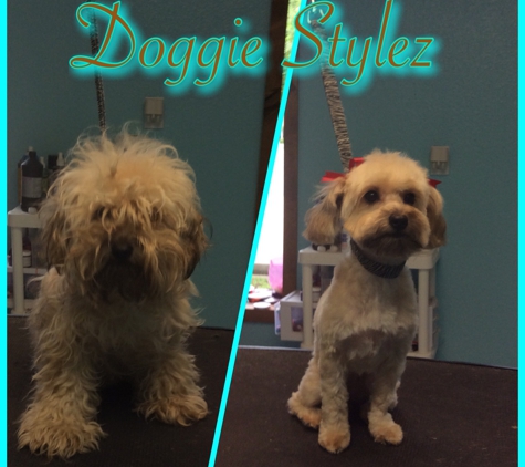 Doggie Stylez - Canton, TX