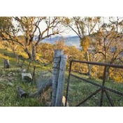 Gallery Image Number 3